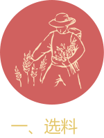 dn